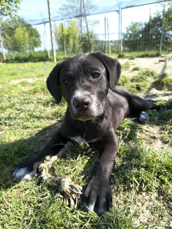 ETTORE 🧡 NANA 🤍 PIXEL 🖤 Foto 3