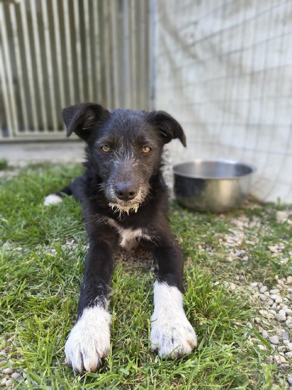 VELVET 💜 DIVA 🩷 Foto 2