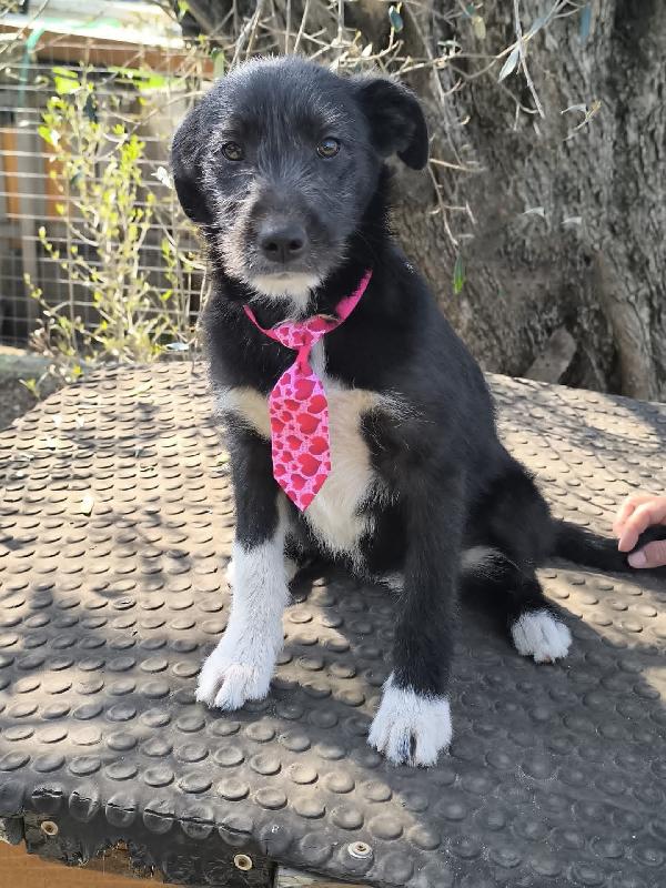 VELVET 💜 DIVA 🩷 Foto 3