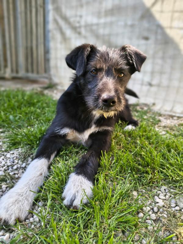 VELVET 💜 DIVA 🩷 Foto 4