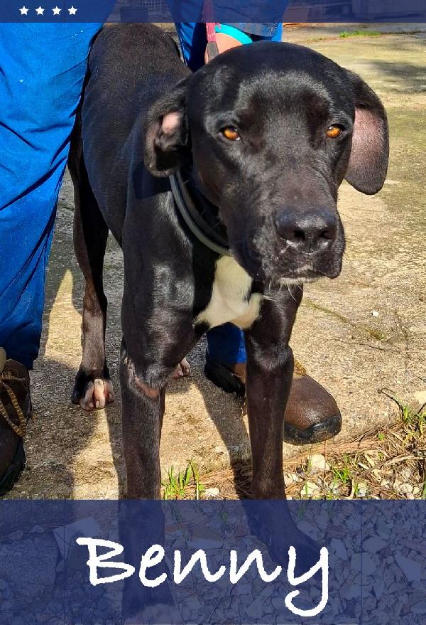 Benny ..Un Esserino Che Cerca Il Suo Lieto Fine