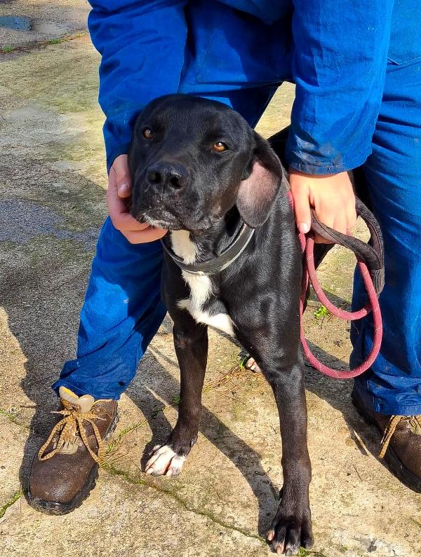 Benny ..un esserino che cerca il suo lieto fine Foto 2