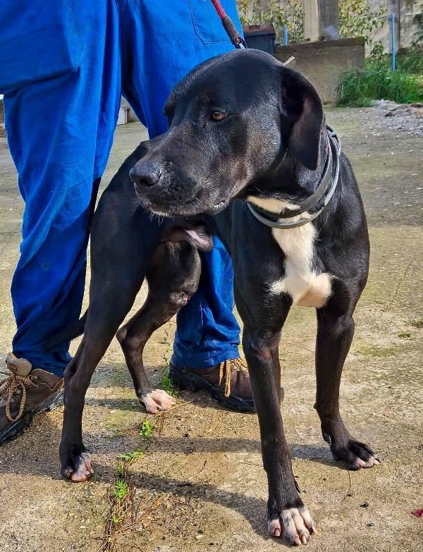 Benny ..un esserino che cerca il suo lieto fine Foto 3