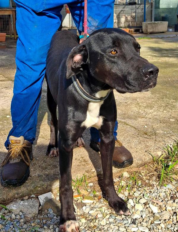 Benny ..un esserino che cerca il suo lieto fine Foto 4