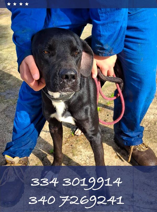 Benny ..un esserino che cerca il suo lieto fine Foto 5