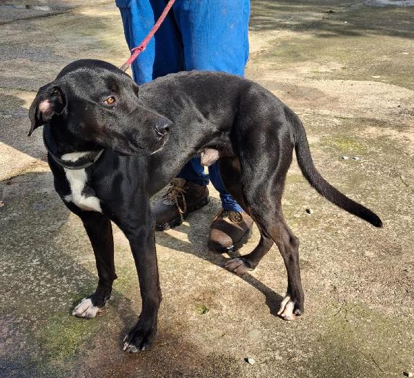 Benny ..un esserino che cerca il suo lieto fine Foto 6