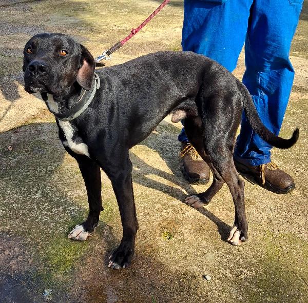 Benny ..un esserino che cerca il suo lieto fine Foto 7