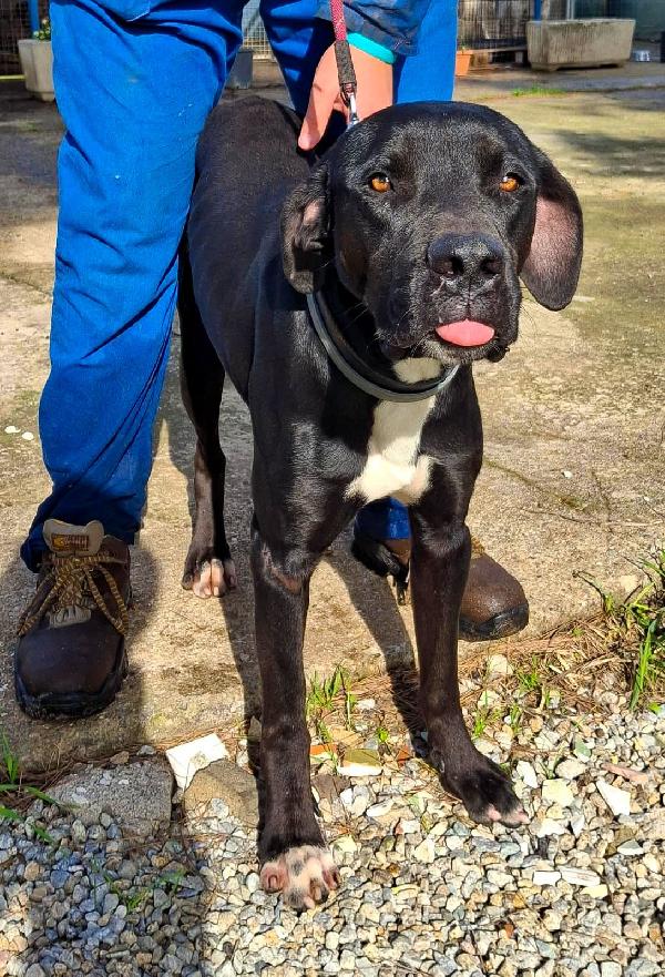 Benny ..un esserino che cerca il suo lieto fine Foto 8
