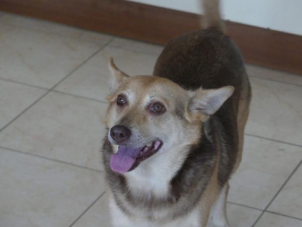 Gelbie tenera nonnina cerca casa  Foto 3