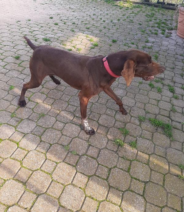Leo  Foto 3