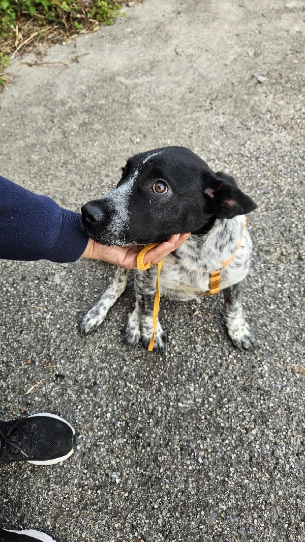 UNA MAMMA PER YUKI Foto 2