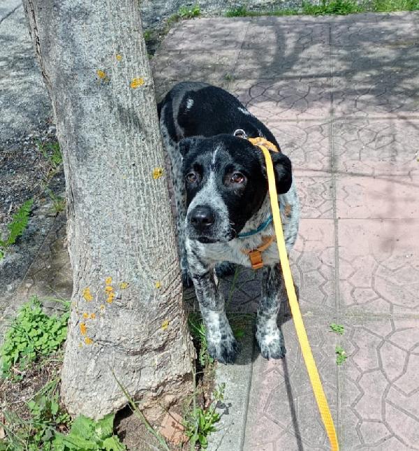 UNA MAMMA PER YUKI Foto 3
