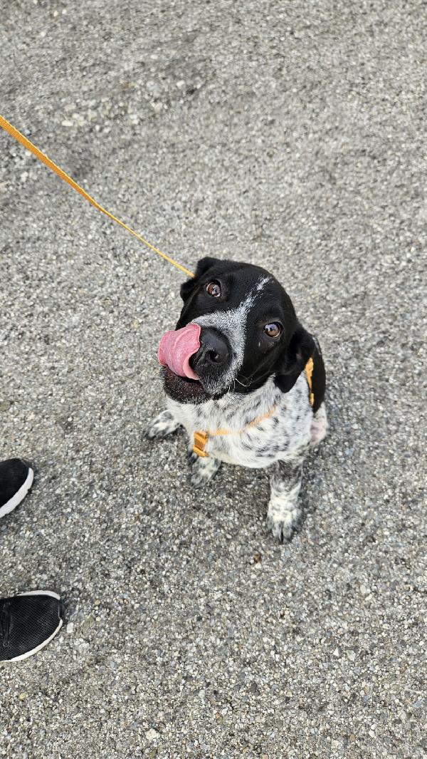 UNA MAMMA PER YUKI Foto 4