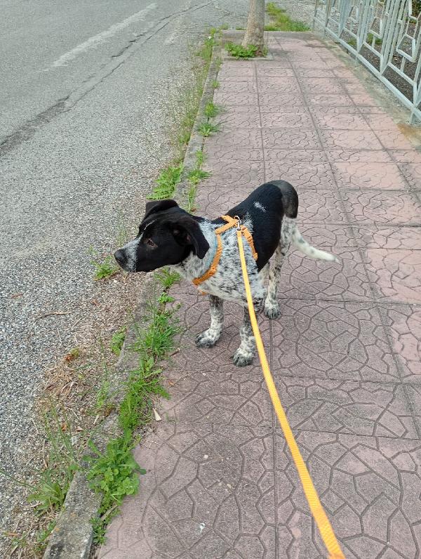 UNA MAMMA PER YUKI Foto 5