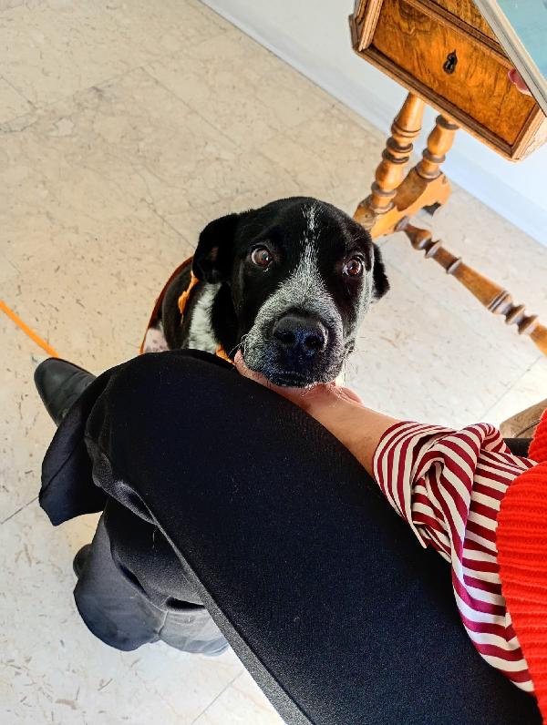 UNA MAMMA PER YUKI Foto 6