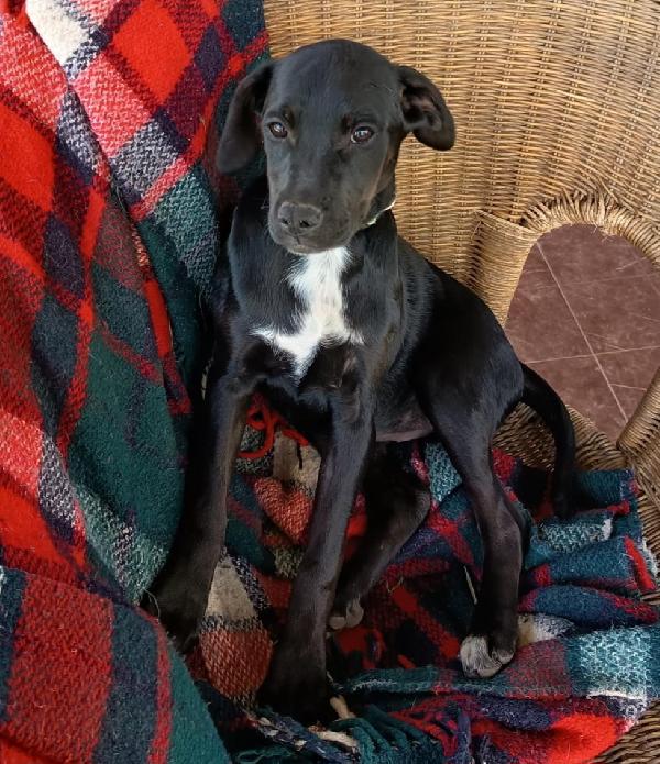 Eva Aspetta Una Mamma 