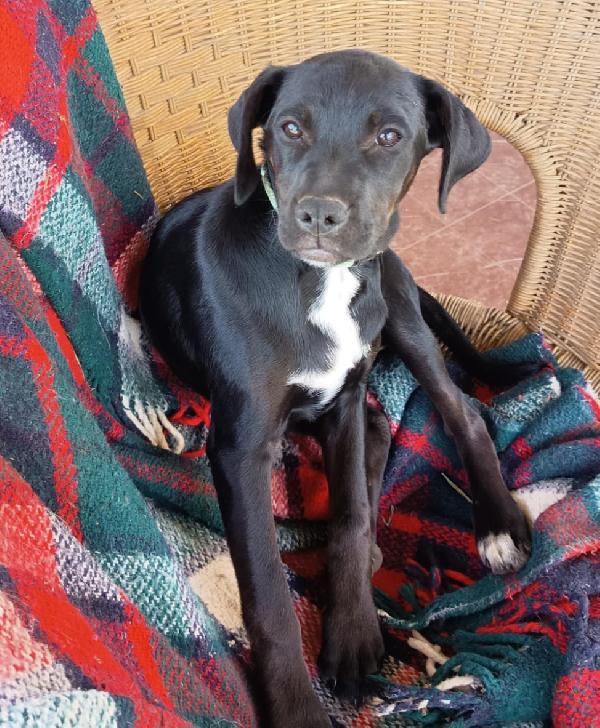 EVA ASPETTA UNA MAMMA  Foto 2