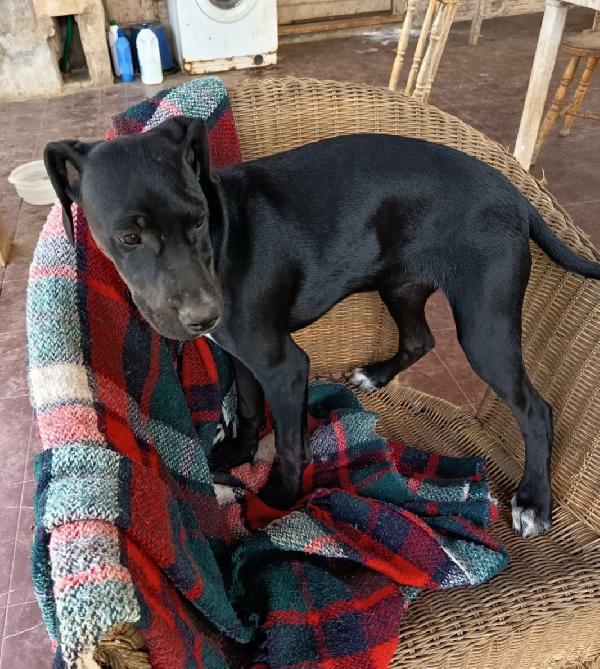 EVA ASPETTA UNA MAMMA  Foto 3