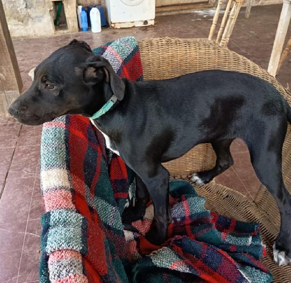 EVA ASPETTA UNA MAMMA  Foto 4