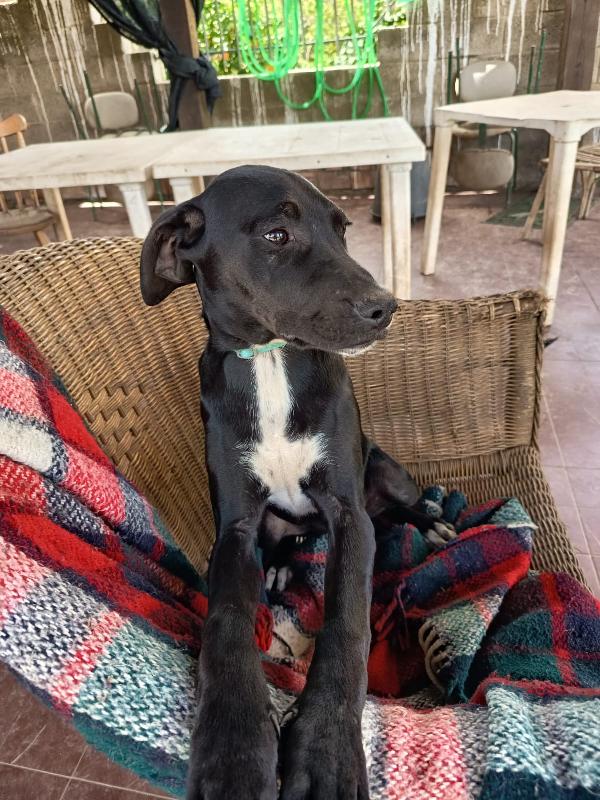 EVA ASPETTA UNA MAMMA  Foto 5