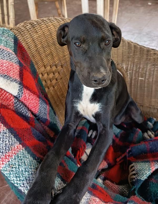 EVA ASPETTA UNA MAMMA  Foto 6