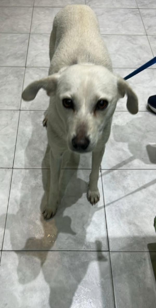 Patty 2/3Anni Kg11/12 Aiutatemi A Toglierla Da Qui!!