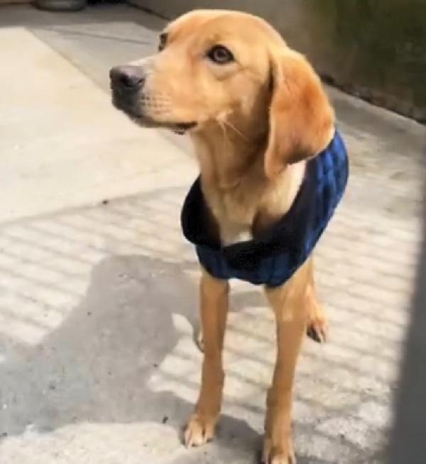 UNA MAMMA PER JAZZ Foto 3