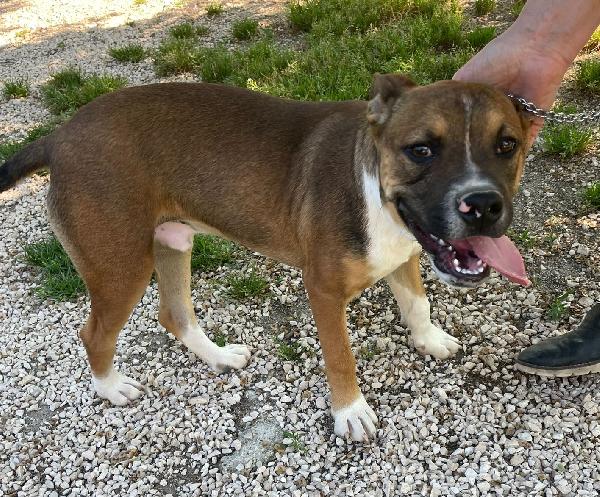 Cioccolato Aspetta Te