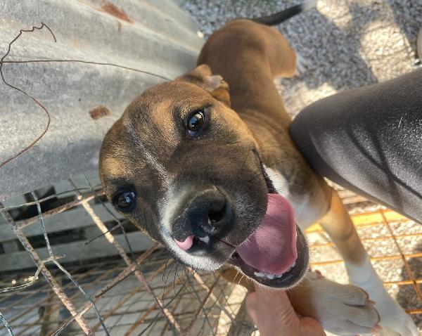 CIOCCOLATO ASPETTA TE Foto 2