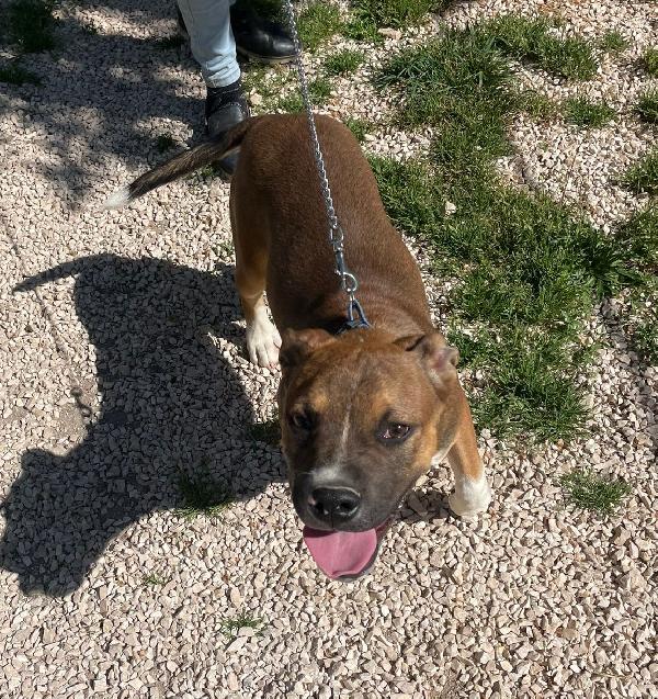 CIOCCOLATO ASPETTA TE Foto 3