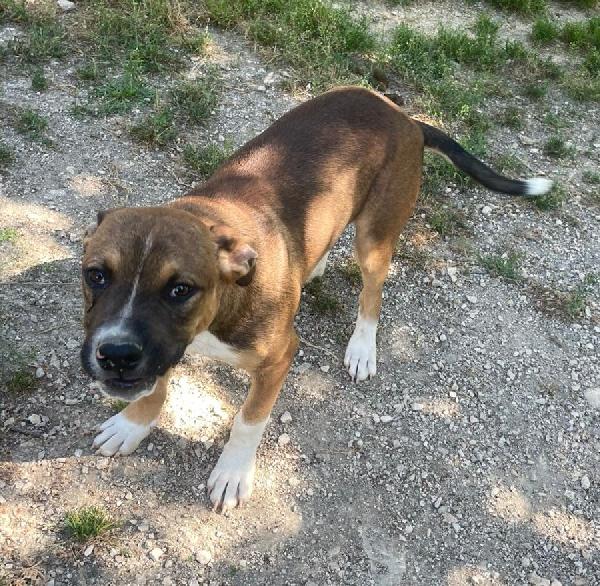 CIOCCOLATO ASPETTA TE Foto 5