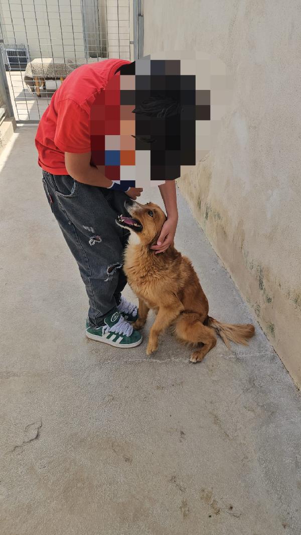 Stefi: 2 anni taglia contenuta Foto 7