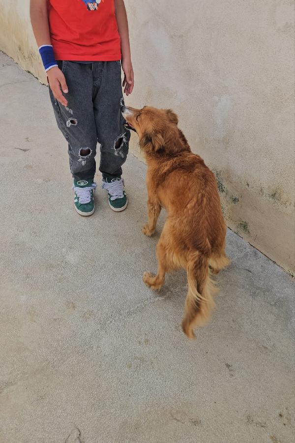 Stefi: 2 anni taglia contenuta Foto 8