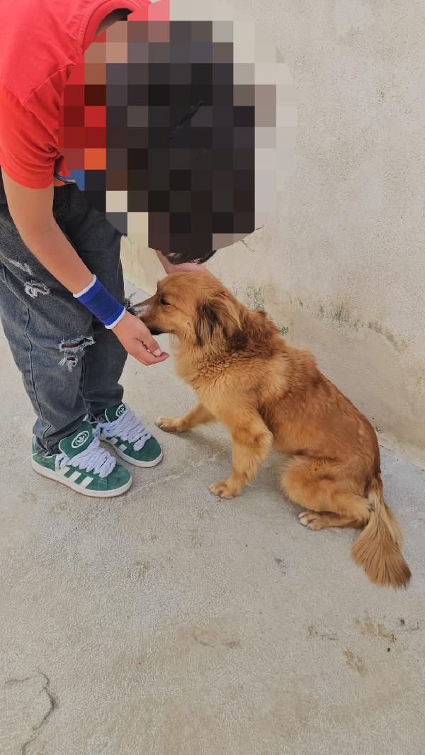 Stefi: 2 anni taglia contenuta Foto 10