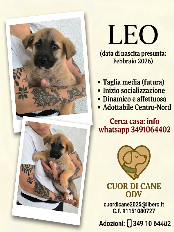 Leo