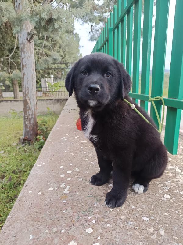 DARKO Foto 11