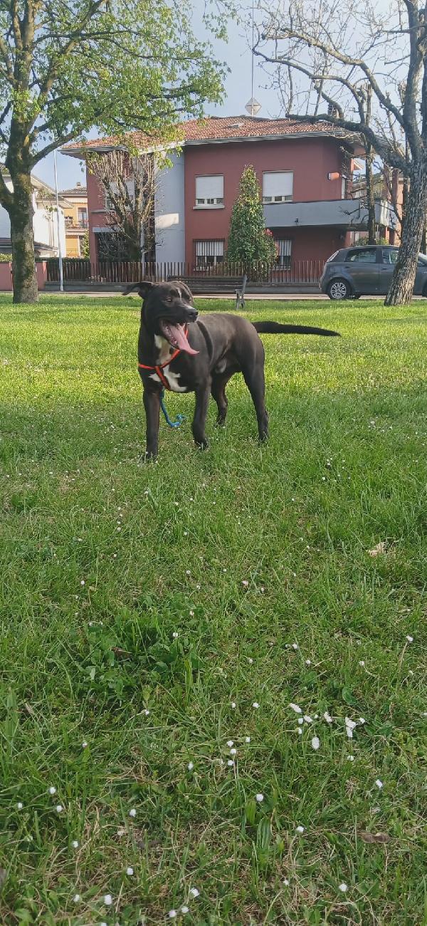 Jack Foto 2