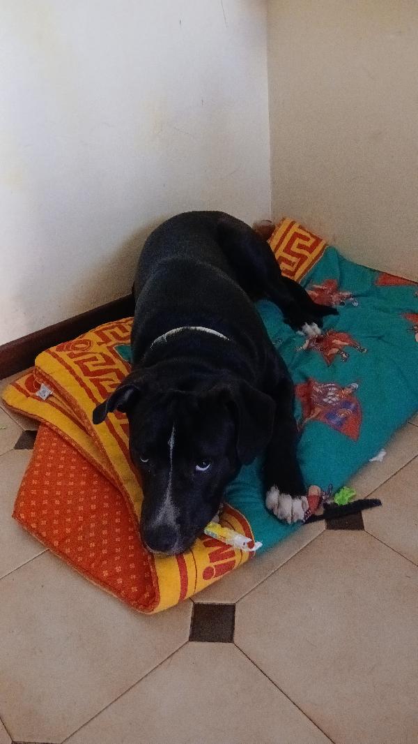 Jack Foto 4