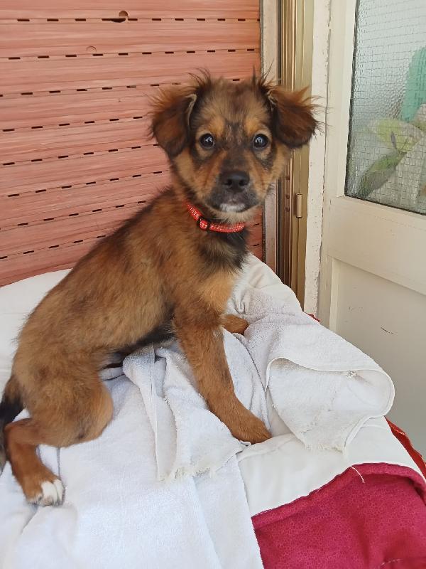 UNA MAMMA PER ROCKY Foto 2