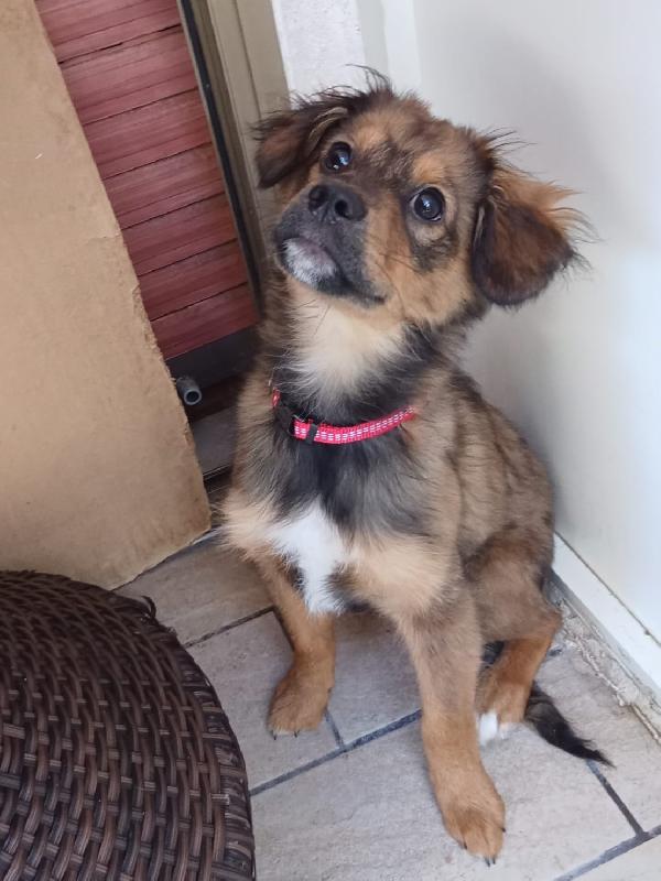 UNA MAMMA PER ROCKY Foto 3