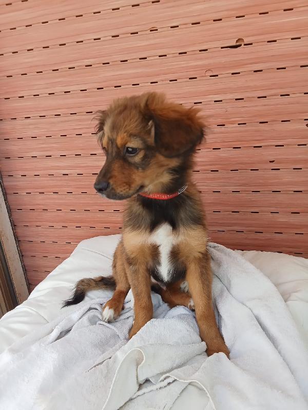 UNA MAMMA PER ROCKY Foto 4
