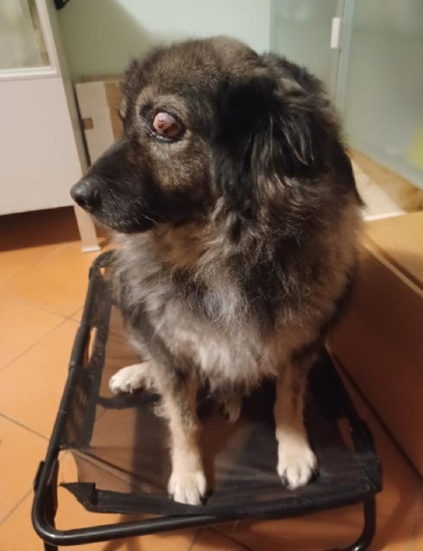 8/9Anni Picchiato Ha Perso 1Occhietto! Puglia