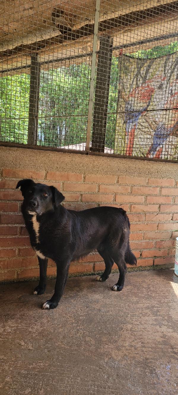 Iaky.. solo perché sono nero? Foto 2