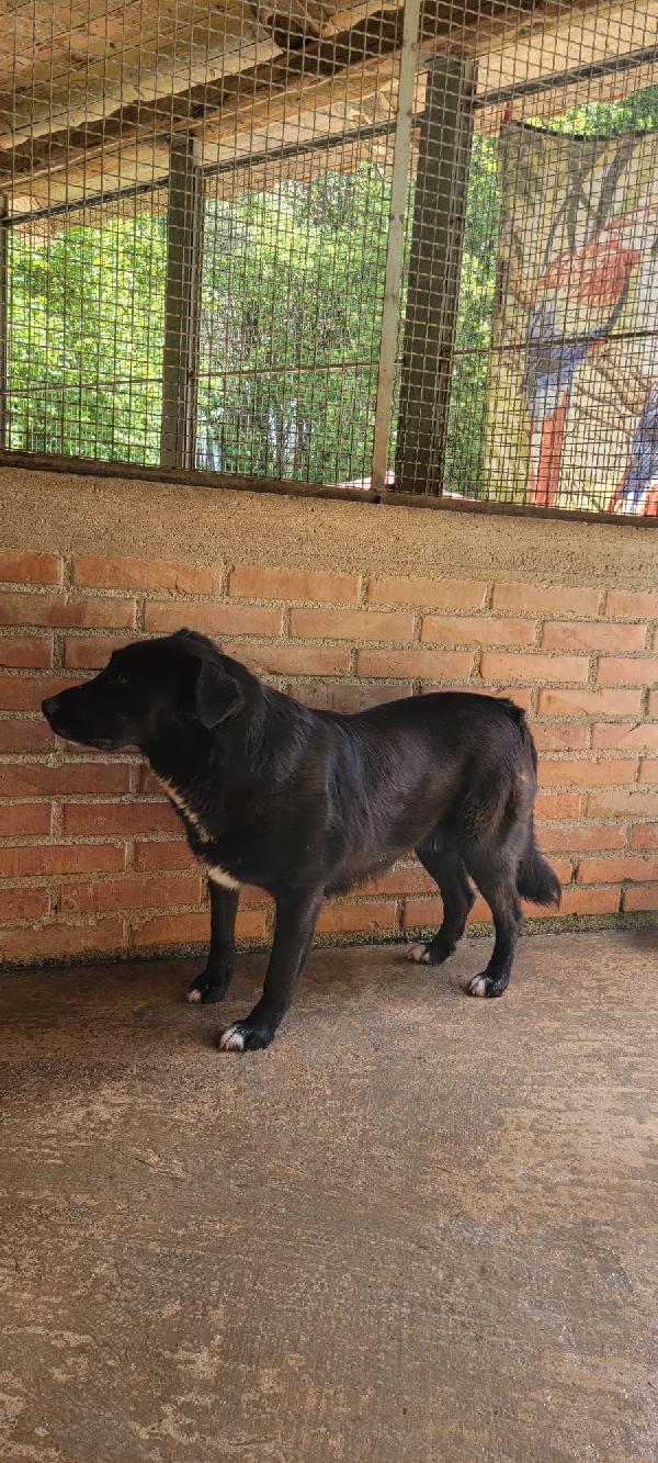 Iaky.. solo perché sono nero? Foto 4
