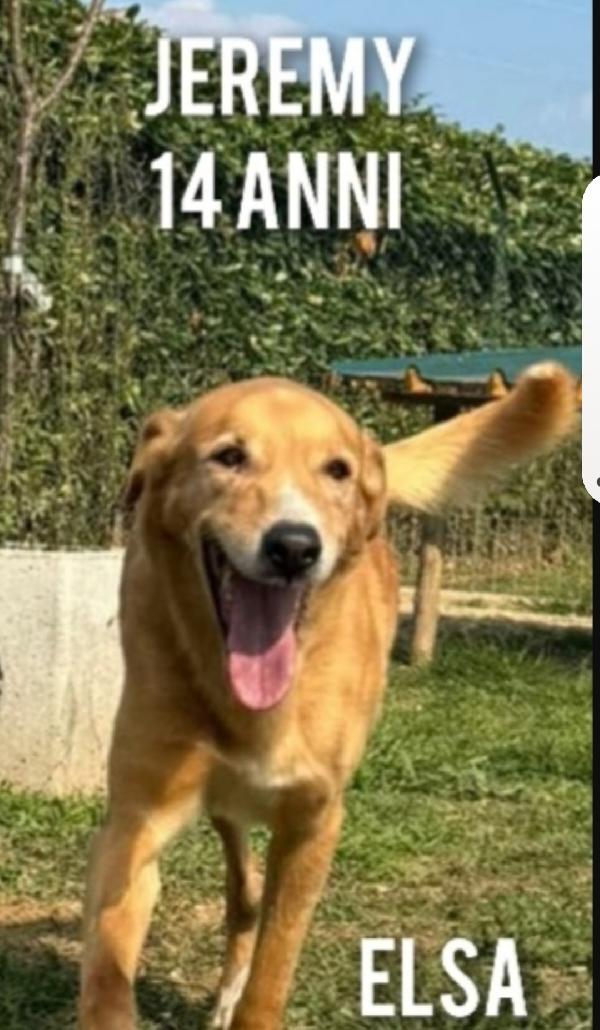 14anni NN HA CHIAMATO NESSUNO,TORNATO A BARI Foto 3