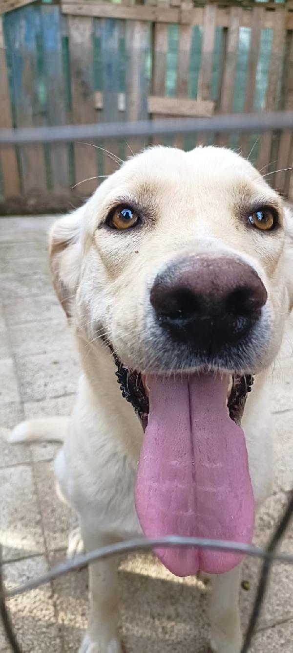 Diego  Foto 2