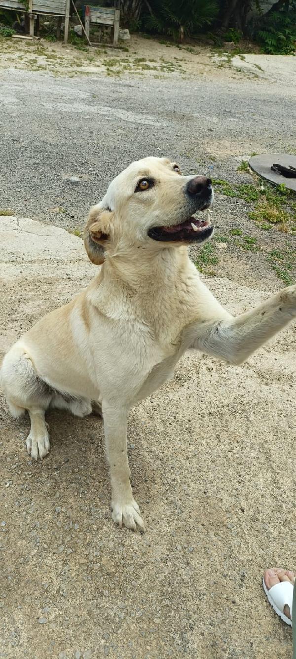 Diego  Foto 3