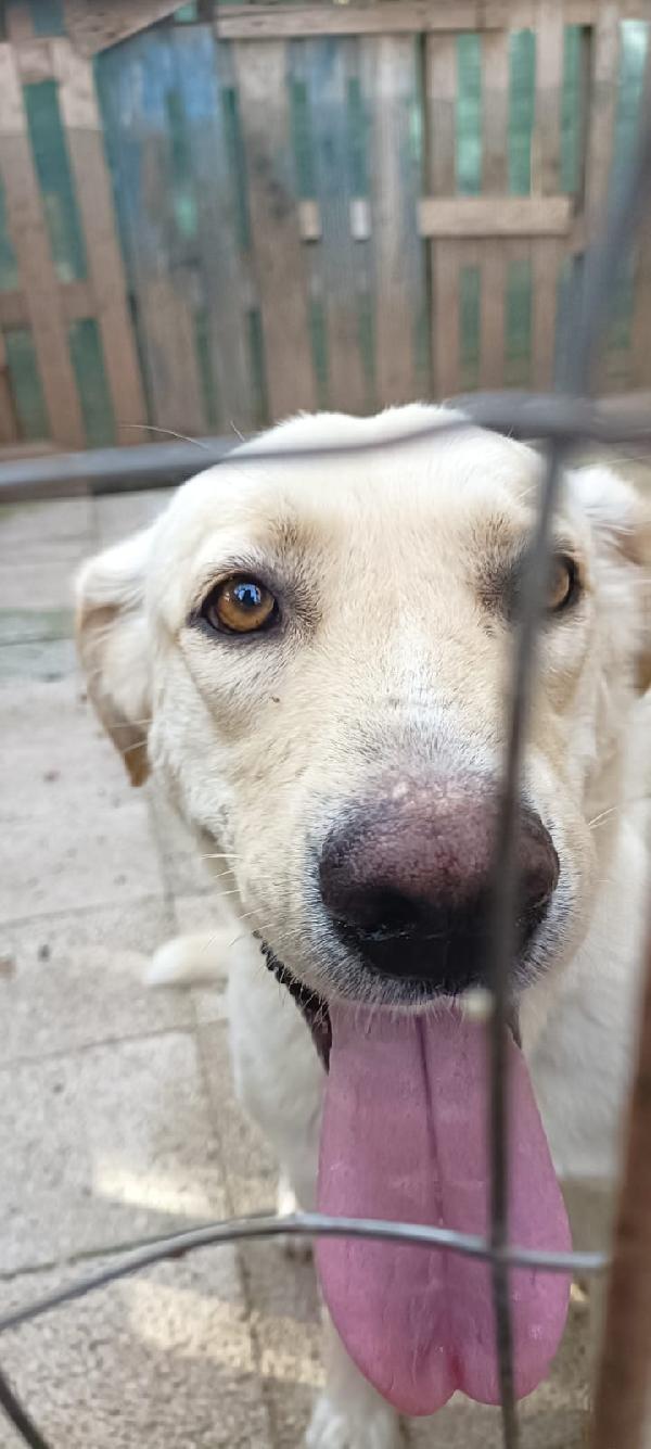 Diego  Foto 10