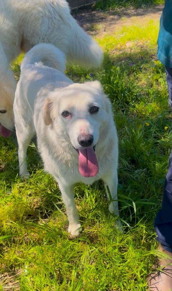 Wilma🌹🐾