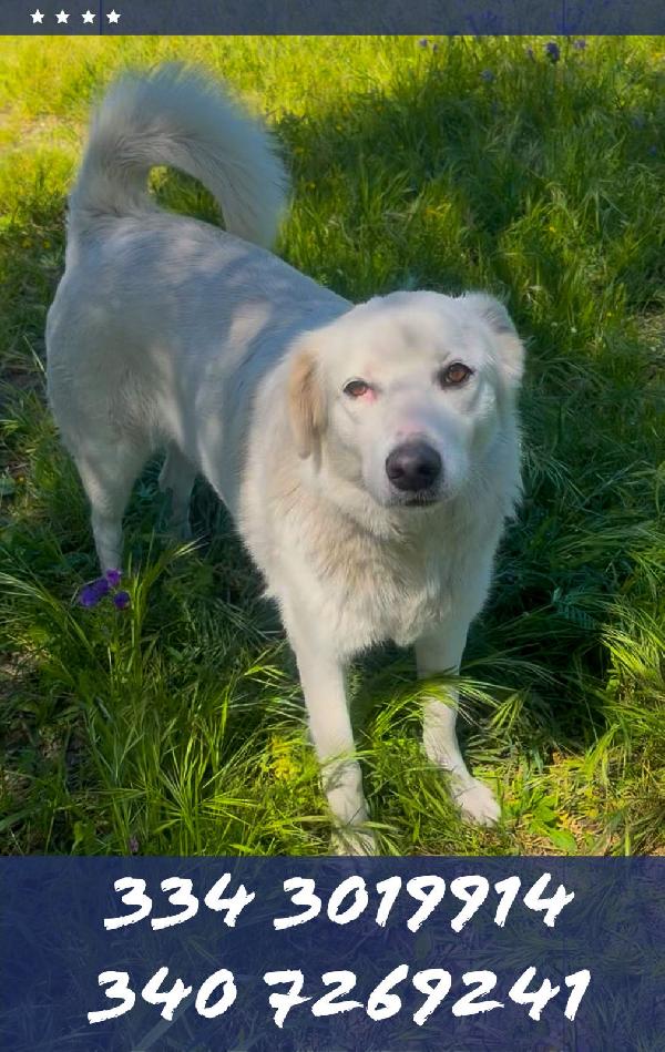 Wilma🌹🐾 Foto 2